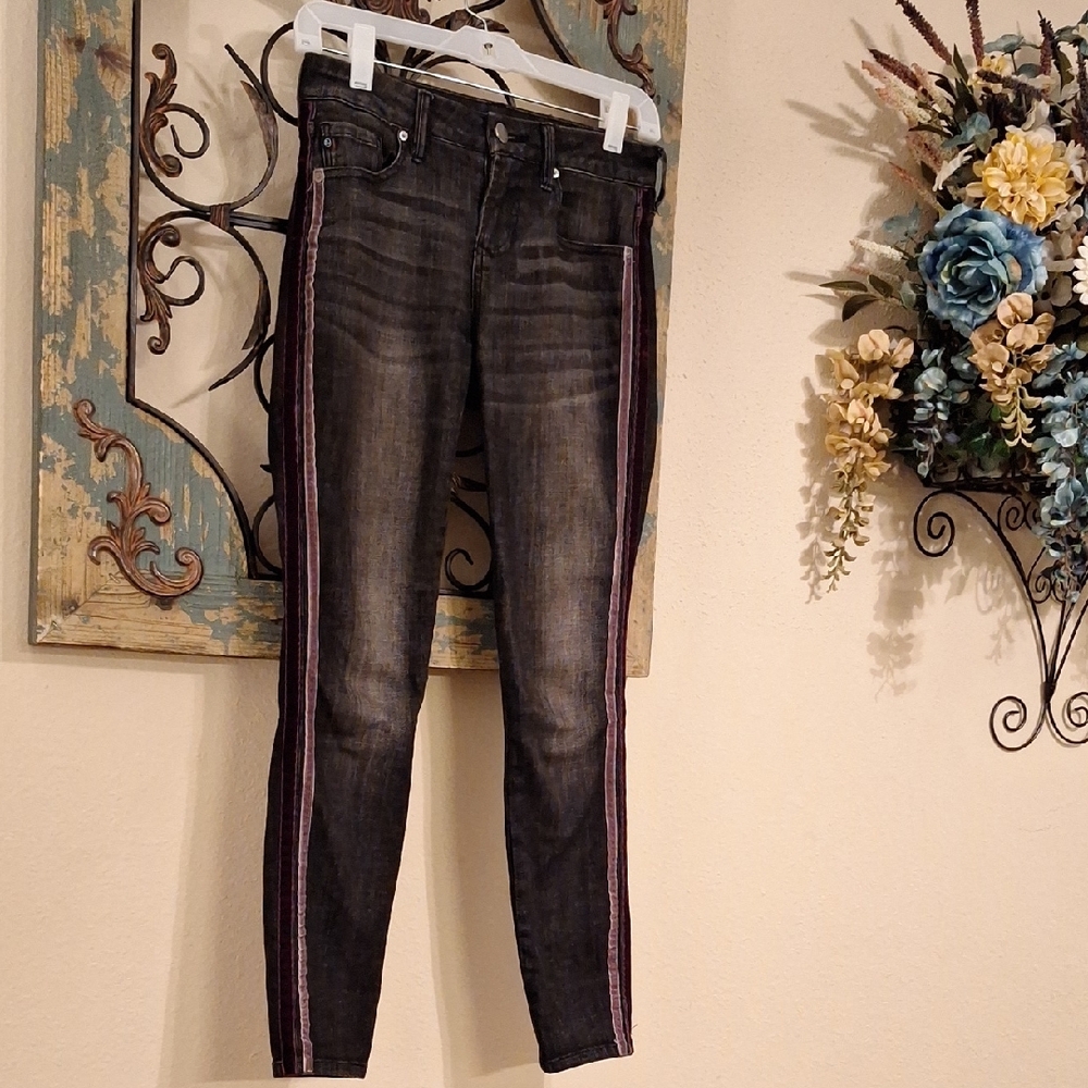 🔥🔥CLEARANCE🔥🔥 Dear John Dark Gray Jeans with Purple Stripes.  NWOT Size 25